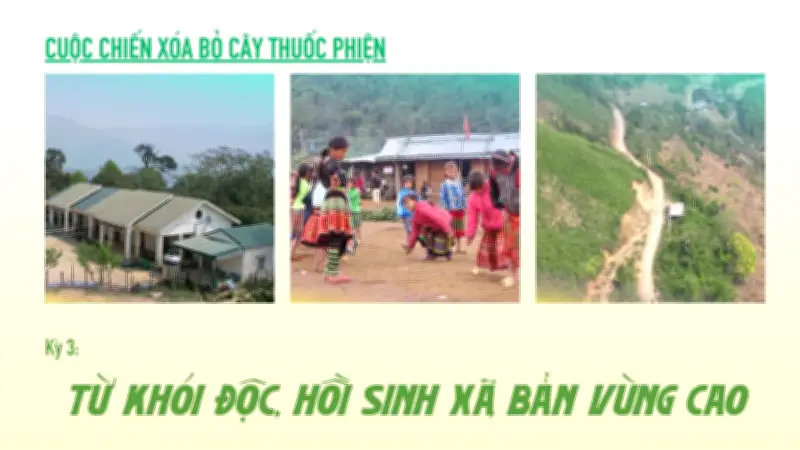 Tà Xùa thoát khỏi bóng đen cây thuốc phiện nhờ giáo dục và chuyển đổi kinh tế