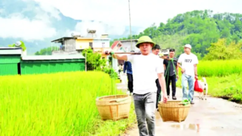 Tục Nhận Cha Mẹ Nuôi Của Người Sán Chỉ: Nét Văn Hóa Độc Đáo Gắn Kết Cộng Đồng