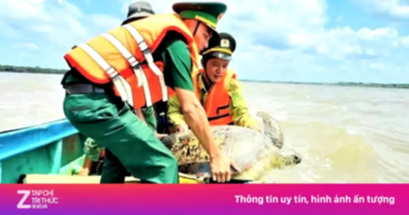 Thả kỳ đà hoa và vích biển 60 kg về tự nhiên tại Cà Mau