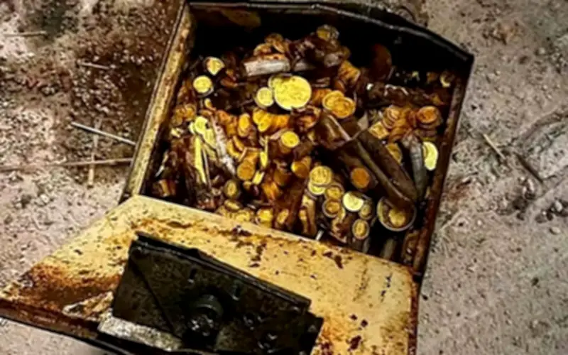 Thợ sửa ống nước ở Áo phát hiện kho báu 30 kg vàng, trị giá 63 tỷ đồng