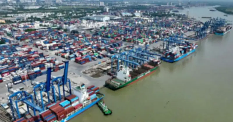 Thủ Tục Chậm Cập Nhật Khiến Hàng Loạt Đơn Hàng Tôm Cà Mau Bị Hủy, Thiệt Hại Hàng Chục Tỷ Đồng