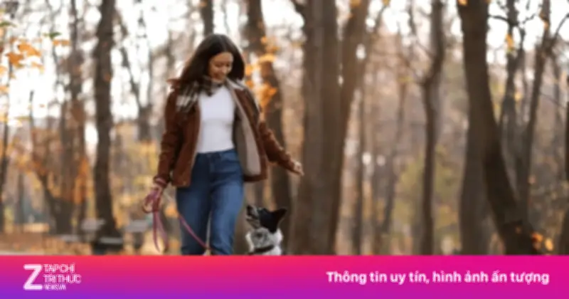 Thời Điểm Đi Bộ Tốt Nhất Cho Sức Khỏe: Sáng Hay Tối Để Kiểm Soát Huyết Áp?