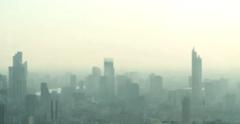 Thái Lan Ban Bố Tình Trạng Khẩn Cấp Do Cháy Rừng Và Ô Nhiễm Bụi Mịn