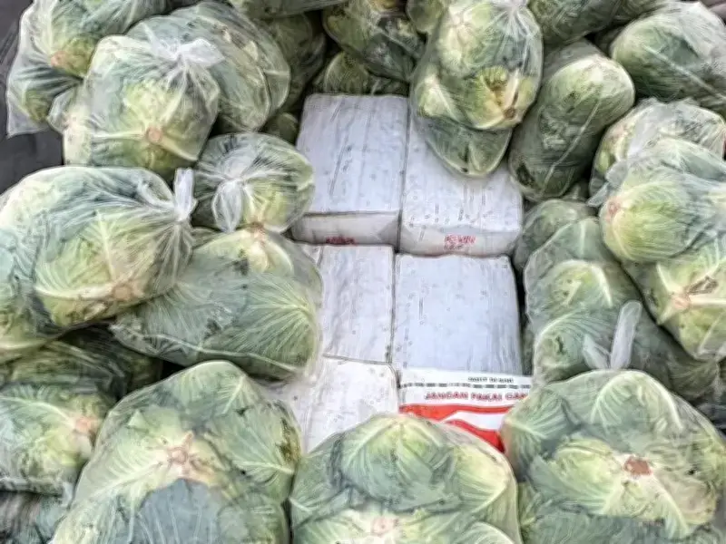 Thái Lan Bắt Giữ 16 Tấn Ma Túy Giấu Dưới Các Túi Rau Bắp Cải