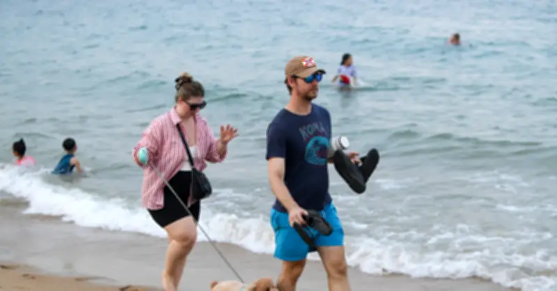 Thái Lan quay xe, khách châu Âu đổ bộ bay charter đến Việt Nam mùa hè