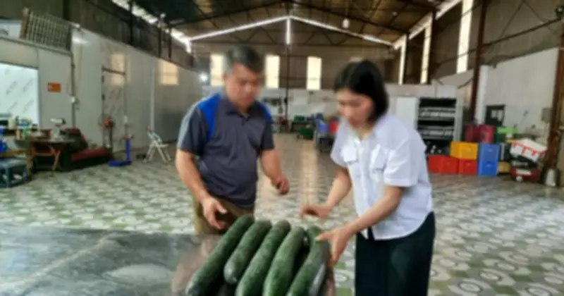 Thái Nguyên phạt 22,5 triệu đồng cơ sở cung cấp thực phẩm mầm non nhiễm virus dịch tả lợn