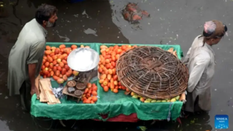 Thiên tai tàn phá Afghanistan và Pakistan: Hàng trăm nhà cửa bị phá hủy, nhiều người thương vong