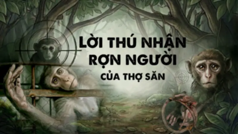 Thảm Cảnh Buôn Bán Khỉ Con: Nỗi Đau Ám Ảnh Từ Rừng Già Đến Mạng Xã Hội