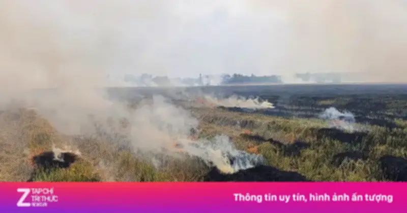 Thảm kịch đốt rơm rạ: Người phụ nữ Cần Thơ tử vong do ngạt khói giữa đồng