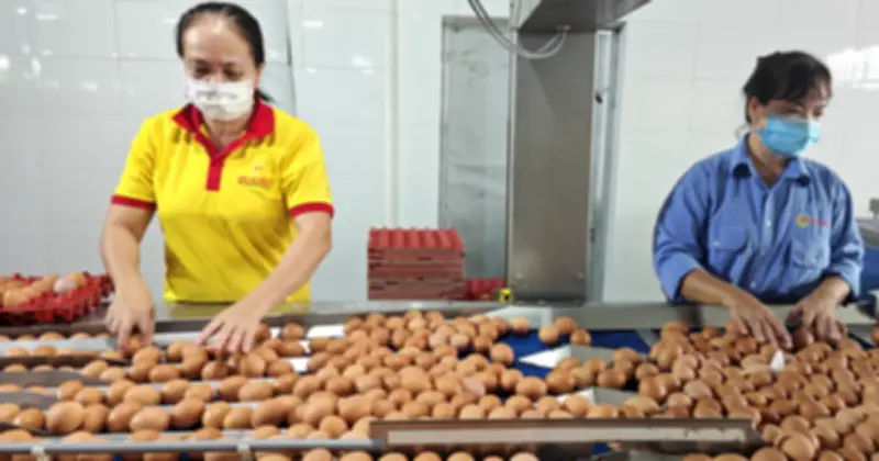 Thương hiệu quốc dân Ba Huân và bài học từ những người tiên phong