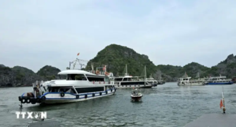 Thống nhất quy chế phối hợp quản lý tàu du lịch giữa Vịnh Hạ Long và Vịnh Lan Hạ