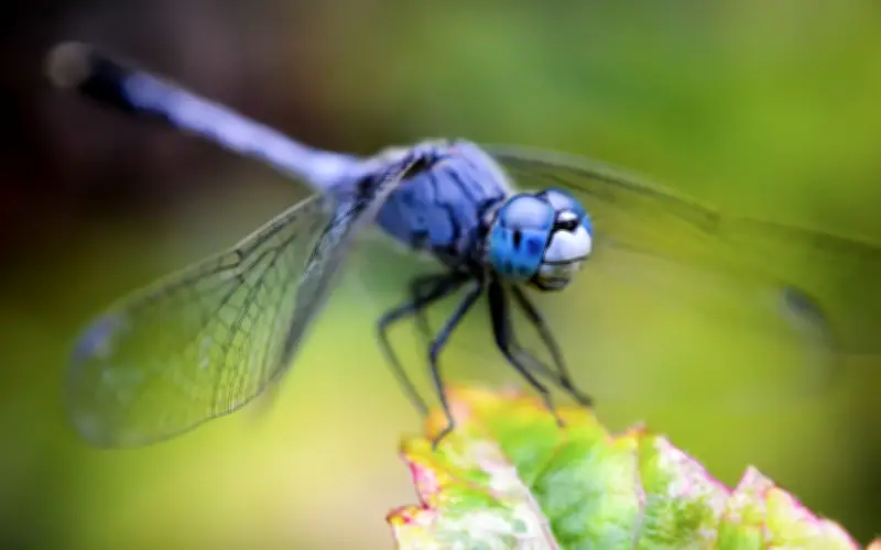 Tháng sinh âm lịch tiết lộ: Đàn ông có phúc lớn, cưới vợ càng sớm càng giàu, hậu vận viên mãn