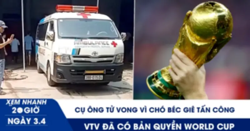 Thương tâm: Cụ ông 83 tuổi tử vong do chó béc giê tấn công và VTV chính thức sở hữu bản quyền World Cup 2026
