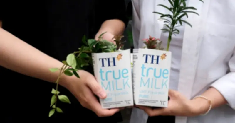 Tái chế vỏ hộp sữa thành chậu cây xinh xắn nhân Ngày Trái Đất