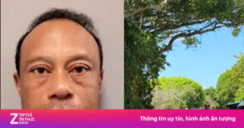 Tiger Woods tạm dừng thi đấu sau vụ tai nạn và bị bắt vì lái xe say xỉn