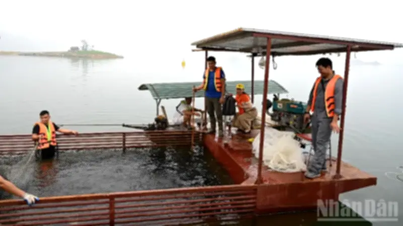 Tiềm năng nuôi trồng thủy sản hồ chứa miền Bắc: Khai thác chưa tương xứng với không gian lớn