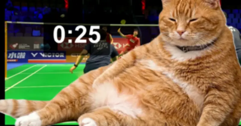 Tiện ích trình duyệt dùng mèo giúp người dùng ngừng lướt mạng xã hội