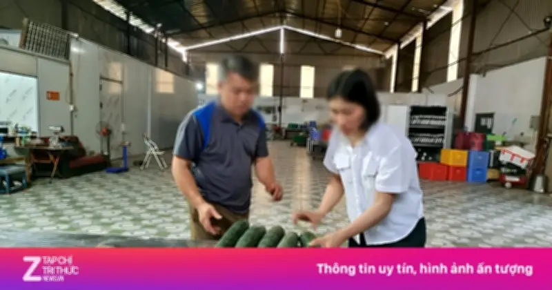 Tiết lộ 'hoa hồng' cho hiệu trưởng để đưa thịt lợn bệnh vào trường mầm non