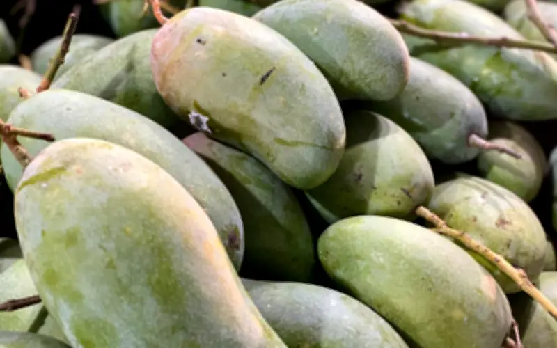 Tiểu thương bật mí cách chọn xoài ngon: Vừa giòn vừa ngọt, hạt mỏng dính