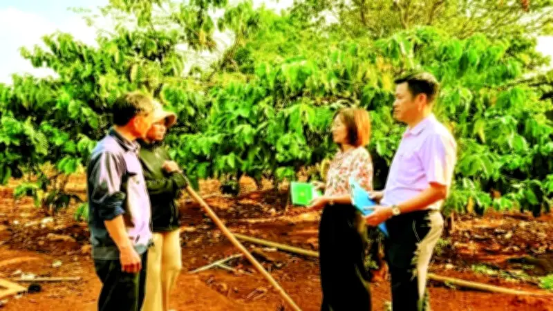Tín dụng chính sách giúp người dân Ia Boòng thoát nghèo bền vững