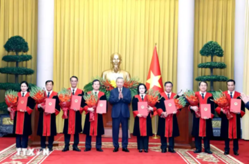 Tổng Bí thư, Chủ tịch nước To Lâm trao quyết định bổ nhiệm Thẩm phán Tòa án Nhân dân Tối cao