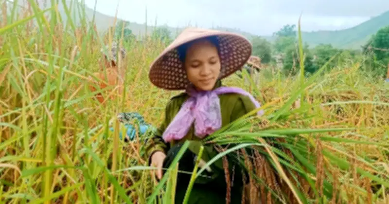 Tăng cường phổ biến pháp luật về bình đẳng giới cho đồng bào dân tộc thiểu số