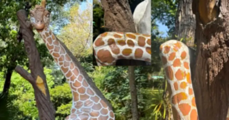 Tượng Hươu Cao Cổ Thảo Cầm Viên Bị Hư Hại Do Du Khách Leo Trèo Chụp Ảnh