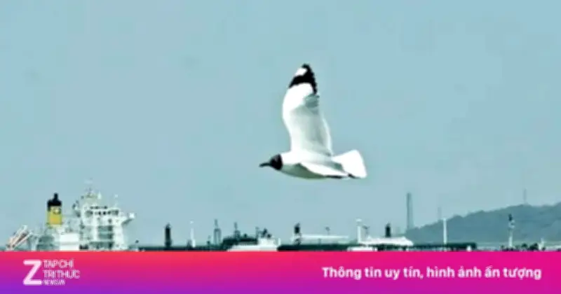 Tương lai 'yết hầu' Hormuz sau lệnh ngừng bắn: Ba kịch bản và những bất ổn dai dẳng