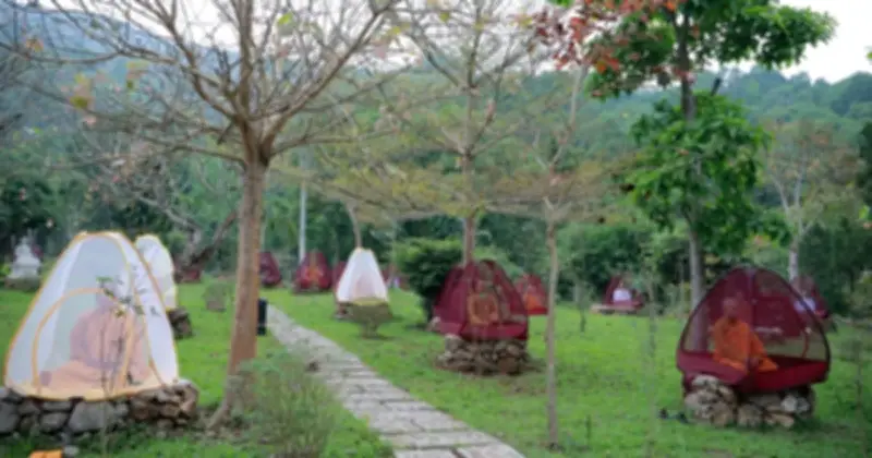 Tịnh Xá Linh Sơn: Ngọn Đèn Khất Sĩ Bừng Sáng Tại Miền Bắc