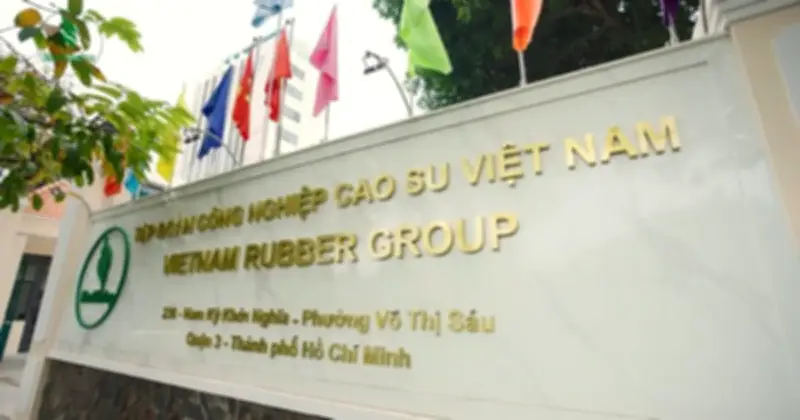 Tập đoàn Cao su Việt Nam giảm nhân sự công ty mẹ, tăng thu nhập và mở rộng đầu tư năm 2025