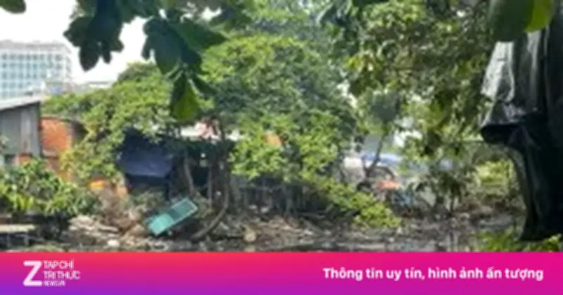 TP.HCM chi hơn 2.900 tỷ cải tạo rạch Ông Bầu, rạch Chín Xiểng