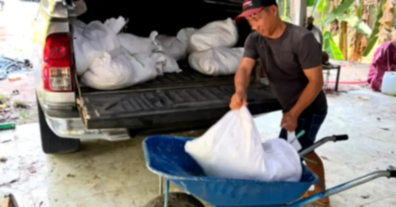 TP.HCM: Phát hiện tài xế vận chuyển gần 300 kg gà thối chuẩn bị tuồn ra thị trường