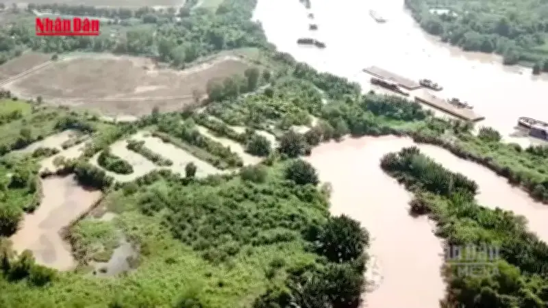 TP.HCM ra soát quỹ nhà đất tại dinh cư, ngăn chặn tình trạng lãng phí