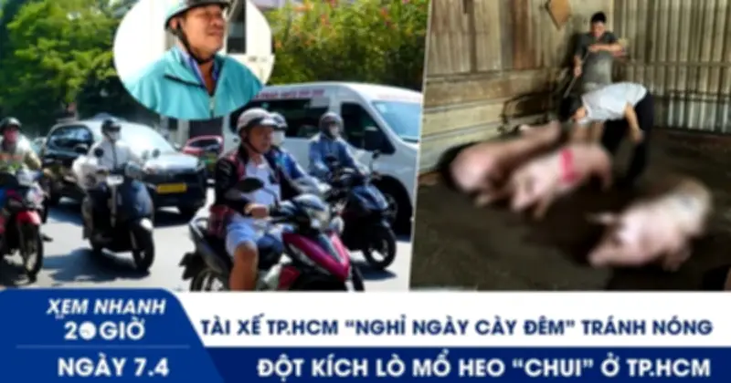 TP.HCM Đột Kích Lò Mổ Heo Chui Trong Hẻm Sâu, Tài Xế Chạy Đêm Tránh Nắng Nóng