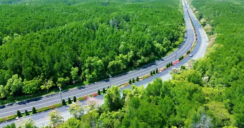 TP.HCM xem xét đề xuất nâng cấp đường Rừng Sác 37km với vốn 19.000 tỷ đồng từ Vingroup