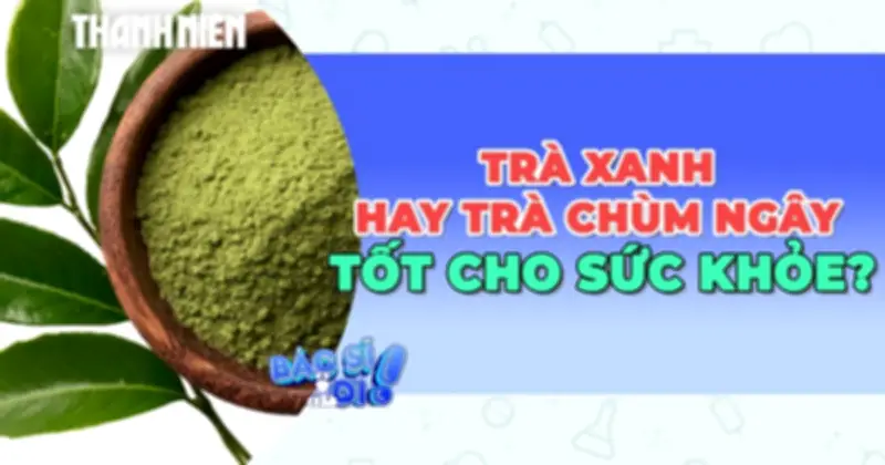 Trà Chùm Ngây So Với Trà Xanh: Lựa Chọn Nào Tối Ưu Cho Sức Khỏe?