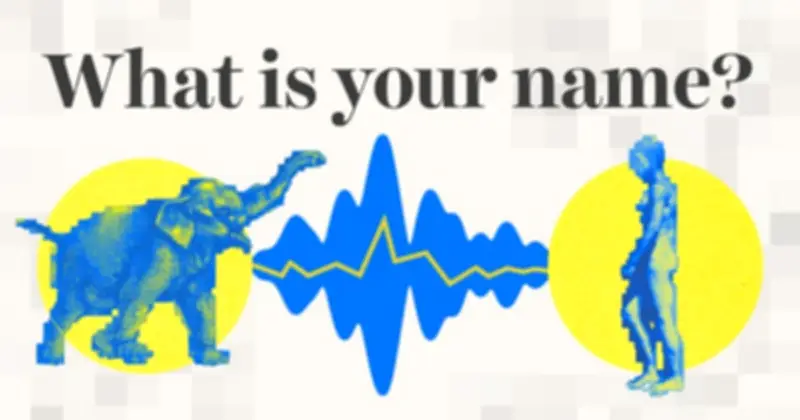 Trí Tuệ Nhân Tạo: Chìa Khóa Giải Mã Ngôn Ngữ Động Vật Trong Tương Lai