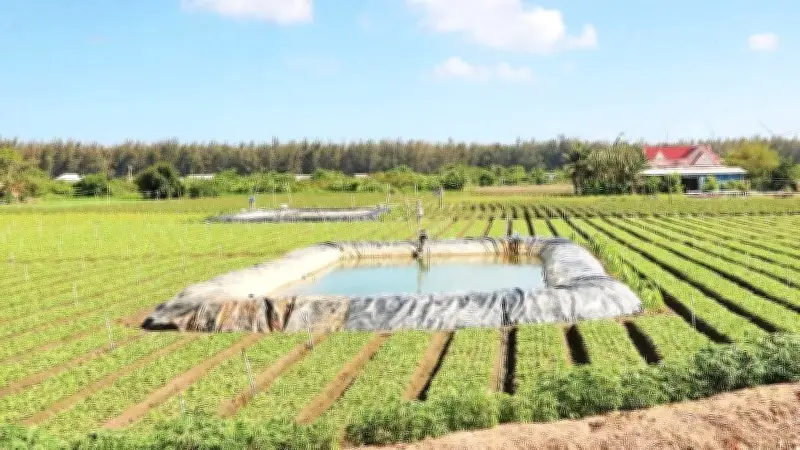 Trà Vinh: Công trình thủy lợi giúp nông dân vùng ven biển vượt hạn, mặn, bội thu lúa