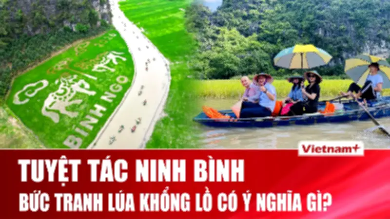 Tranh lúa 'Song mã chầu báo công' - Tuyệt tác nghệ thuật giữa cánh đồng cố đô