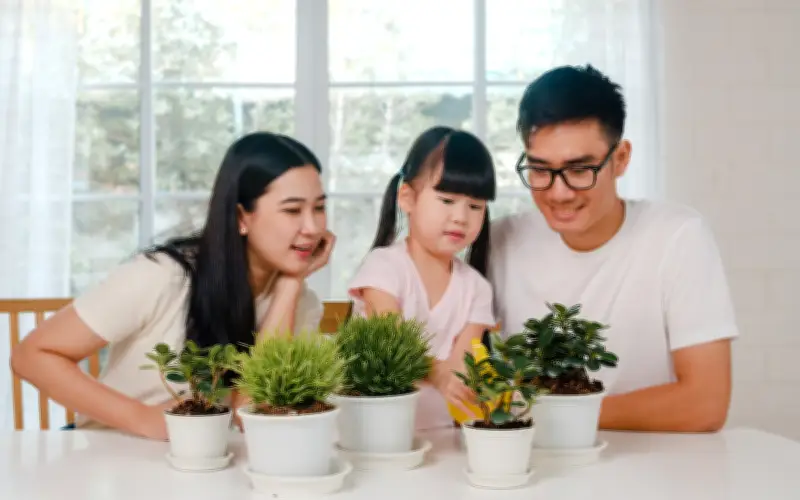 Trước và sau hôn nhân: Sự thay đổi đáng kinh ngạc của các cung hoàng đạo