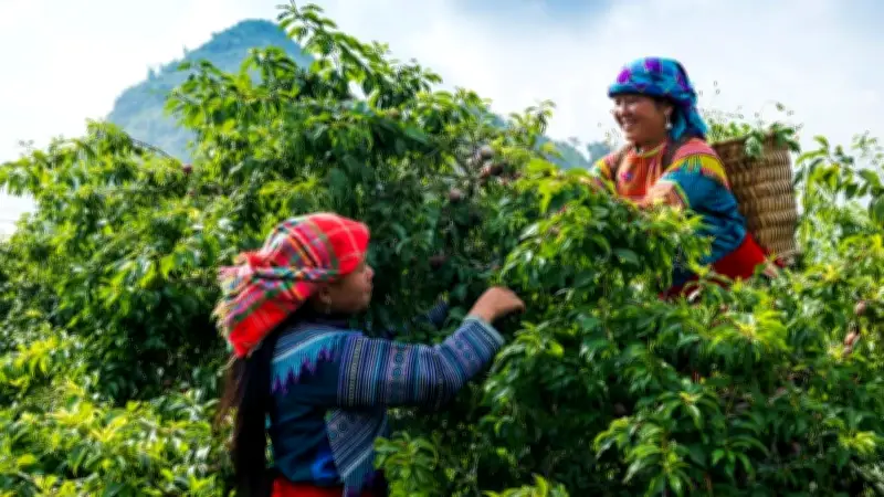 Triển lãm văn hóa liên tỉnh tái hiện đời sống vùng cao Việt Nam