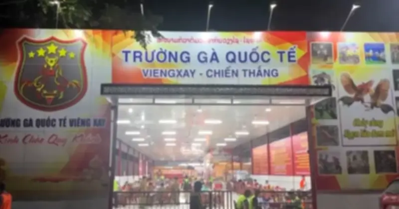 Triệt phá đường dây đánh bạc xuyên quốc gia, khởi tố 196 bị can