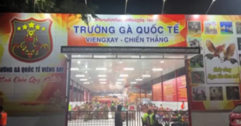 Triệt phá 'trường gà quốc tế' 1.200 tỷ đồng: 196 bị can bị khởi tố
