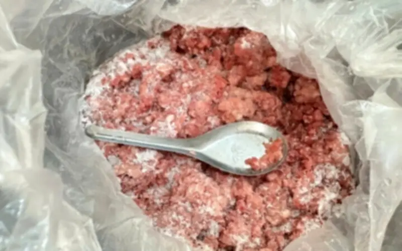 Trường mầm non cho trẻ ăn thịt lợn nhiễm dịch tả, hiệu trưởng bị đình chỉ