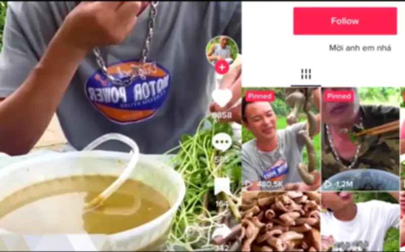 Trào lưu mukbang 'ăn tươi nuốt sống' gây sốc trên mạng xã hội