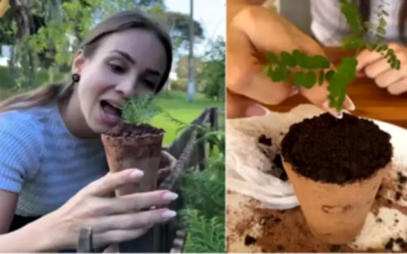 Trào lưu ăn đất sét trên TikTok gây sốt: Nguy hiểm tiềm ẩn