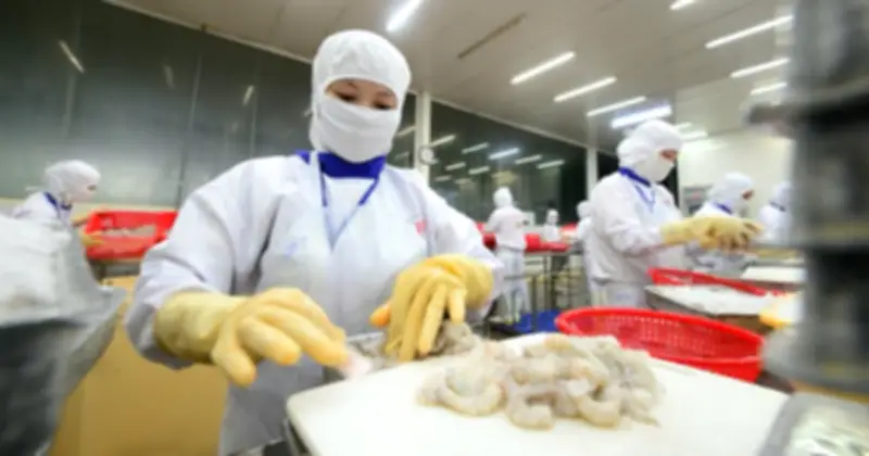 Trung Quốc Trở Thành Thị Trường Thủy Sản Lớn Nhất Của Việt Nam Trong Quý 1/2026