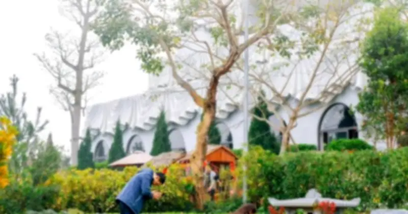 Tết Thanh Minh 2026: Ngày giờ đẹp và ý nghĩa văn hóa sâu sắc