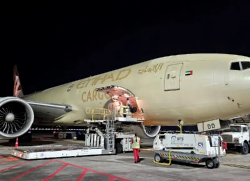 Tàu Nê Vĩnh Bá: Từ cú tăng vọt doanh nghiệp tìm đường vòng cứu hàng