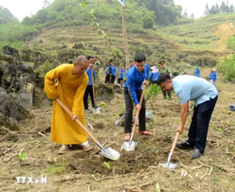 Tuyên Quang chung tay phủ xanh biên giới, hướng tới phát triển bền vững